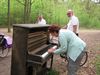 een-piano-in-het-bos