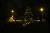verlichting-in-kerstboom-meylandt-brandt