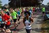 alle-lopers-starten-samen-in-de-zolderrun