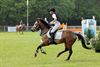 Paarden en ruiters brengen spektakel