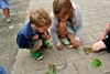 Kinderen ontdekken slakken op school