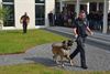 Demo met politiehonden in het SFC