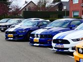 De Mustang-koorts is losgebarsten