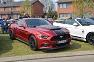 Mustang Fever:lokt veel volk en auto's