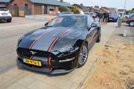 Mustang Fever:lokt veel volk en auto's