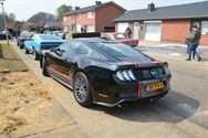 Mustang Fever:lokt veel volk en auto's