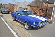 Mustang Fever:lokt veel volk en auto's