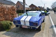 Mustang Fever:lokt veel volk en auto's