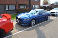 Mustang Fever:lokt veel volk en auto's
