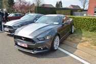 Mustang Fever:lokt veel volk en auto's