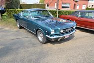 Mustang Fever:lokt veel volk en auto's