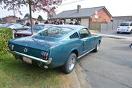Mustang Fever:lokt veel volk en auto's