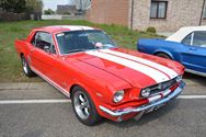 Mustang Fever:lokt veel volk en auto's