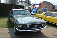 Mustang Fever:lokt veel volk en auto's