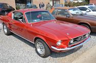 Mustang Fever:lokt veel volk en auto's
