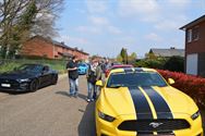 Mustang Fever:lokt veel volk en auto's