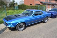 Mustang Fever:lokt veel volk en auto's
