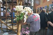 Orchilim 2019: orchideeënpracht uit heel de wereld
