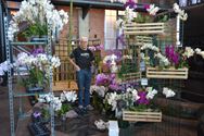 Orchilim 2019: orchideeënpracht uit heel de wereld
