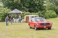 Dieren, oldtimers en prinsessen op Boekt Feest
