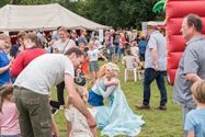Dieren, oldtimers en prinsessen op Boekt Feest
