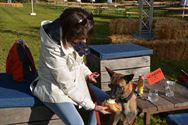 Honden krijgen eigen bar op foodtruckfestival