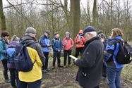 Pelgrims op weg tussen Bolderberg en Herkenrode