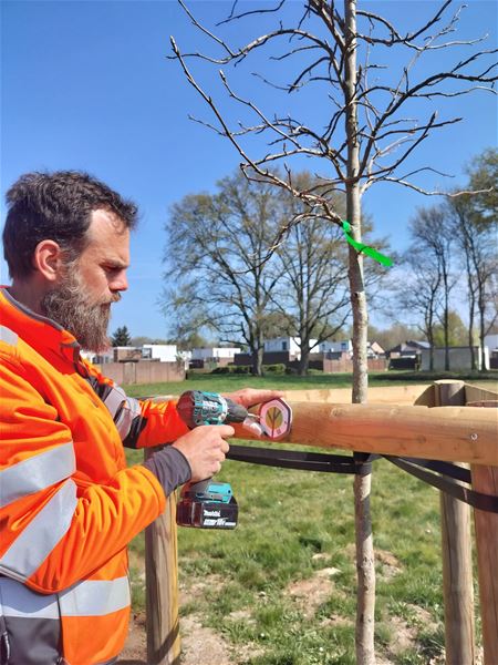 105 inlandse en bijzondere bomen geplant