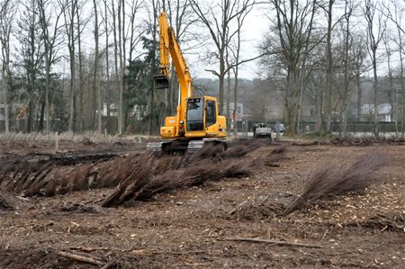 12.000 loofbomen geleverd op Bovy