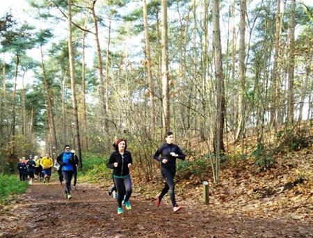 2de Heusden-Zolderse bosloop komt eraan