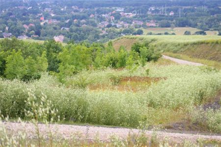 3 sterren voor terril, 2 voor Bolderberg