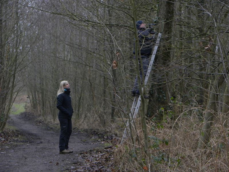 30 nestkasten bij gehangen op domein Bovy