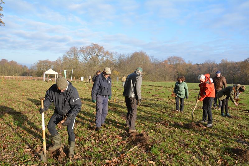 Aan Het Heike kan een nieuw bos groeien
