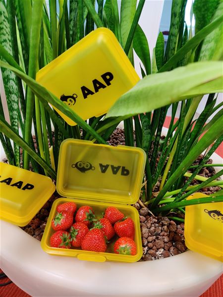 AAP doet de kleuters een brooddoos cadeau