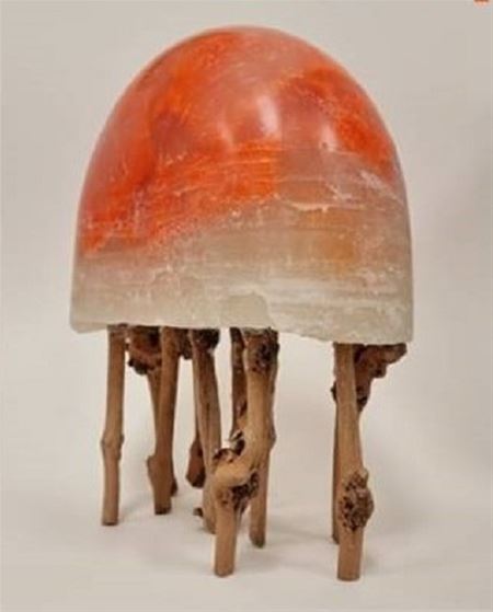 Academie: kunst en info rond reuma