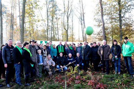 ACV plant bos op Lindeman