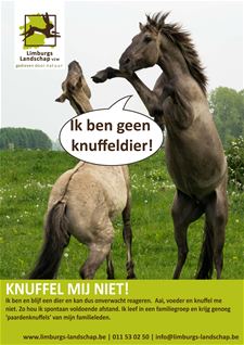 Afblijven van paarden en koeien