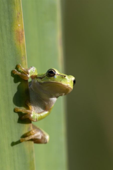 Afscheid van de nazomer