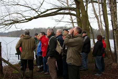 Als de natuur rond de vijvers ontwaakt