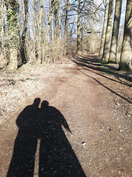 Als de zon van goede wil is ...