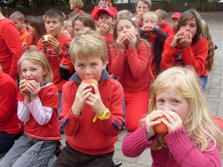 Appeltjes uit Viversel tegen CO2-uitstoot