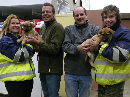 Asiel geeft honden aan asiel