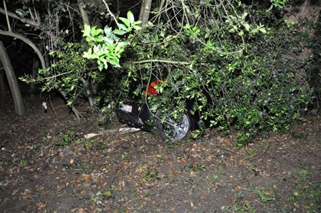 Auto belandt in de bosjes