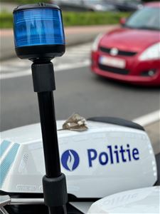 Auto's in beslag genomen, rijbewijzen ingetrokken