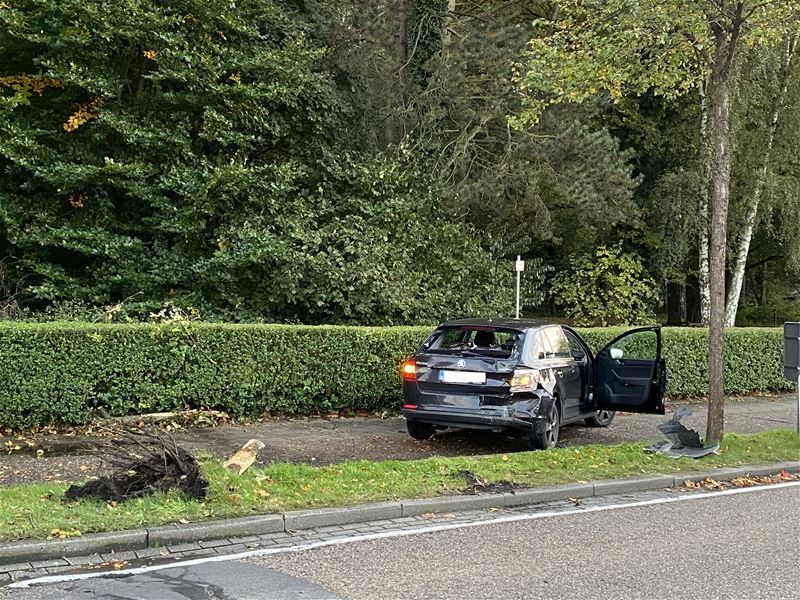 Auto zwaar beschadigd, boompje geknakt