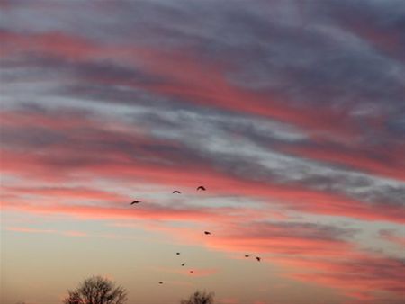 Avondrood, water in de sloot?