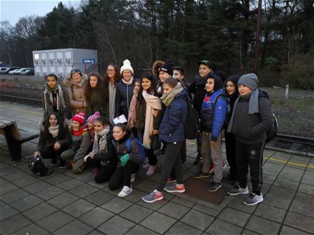 Beekbeemden op zeeklassen in Blankenberge