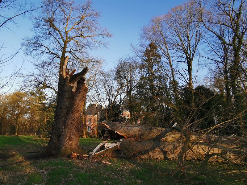 Behoorlijk wat schade na passage Eunice