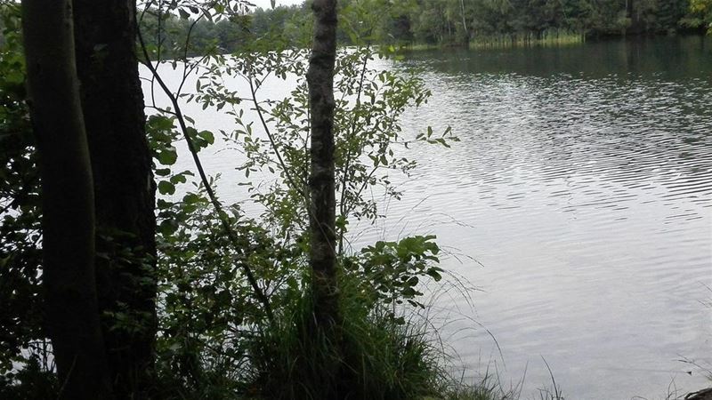 Beoogde som voor aankoop Groene Delle in zicht