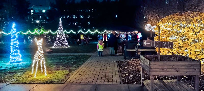 Berkenbos beleefde een heerlijke lichtjeswandeling